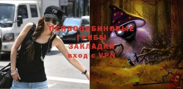 дживик Алексеевка