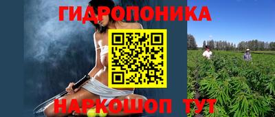 гидропоника Ирбит