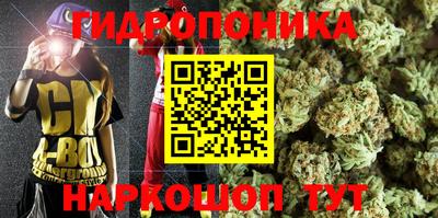 гидропоника Ирбит
