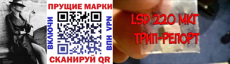 дарнет шоп  OMG рабочий сайт  Наркотические марки 1,5мг  Якутск 